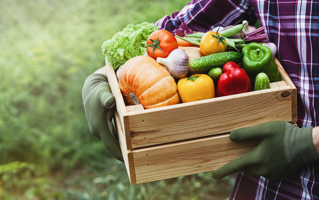 The Miracle of The Harvest